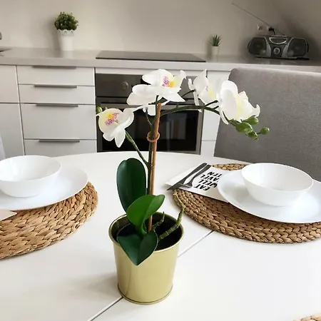 Podwale 29 By Homeprime * Varsavia